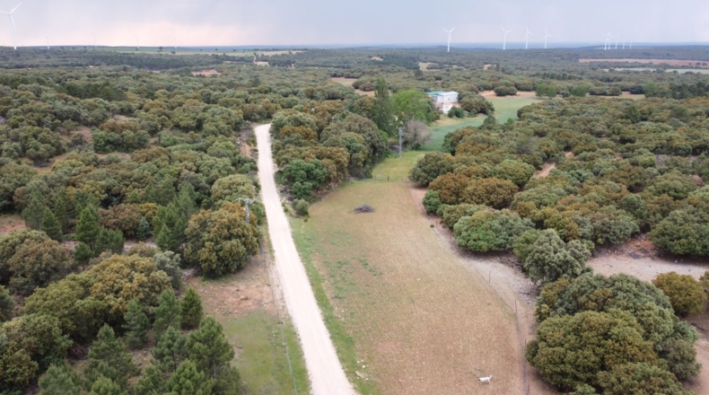 Albacete - Masegoso - 4500000m2