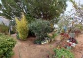 Detached villa with land for sale in La Roda ref: TR367083 photo