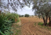 Detached villa with land for sale in La Roda ref: TR367083 photo