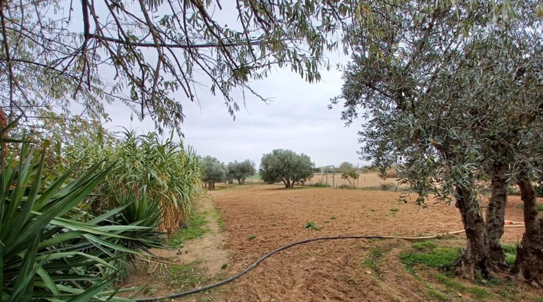 Albacete - La Roda - 13500m2