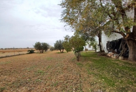 Foto 18