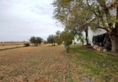 Detached villa with land for sale in La Roda ref: TR367083 photo