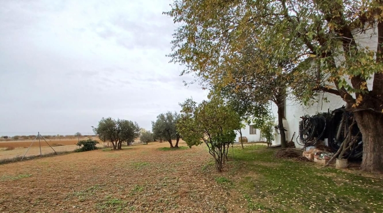 Albacete - La Roda - 13500m2