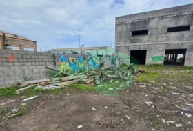 Foto 12