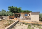 Rural estate for sale in Alcanar ref: TR44574 photo