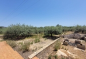 Rural estate for sale in Alcanar ref: TR44574 photo