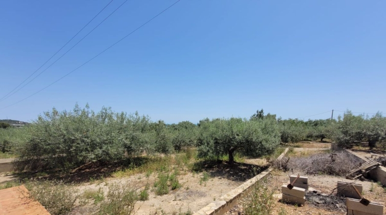 Tarragona - Alcanar - 8200m2