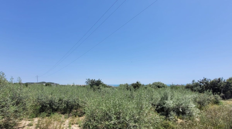 Tarragona - Alcanar - 8200m2
