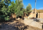 Finca rústica en venda a Amposta ref.: TR58430 foto