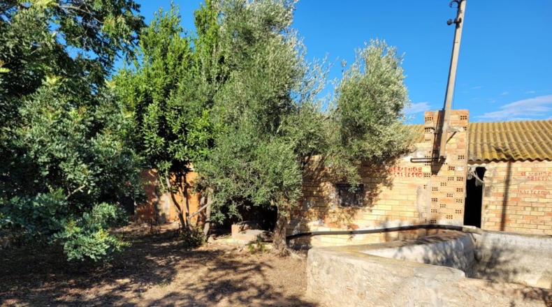 Tarragona - l'Eucaliptus - 4650m2