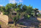 Finca rústica en venda a Amposta ref.: TR58430 foto