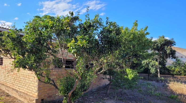 Tarragona - l'Eucaliptus - 4650m2