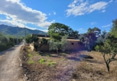 Finca rústica en venda a Amposta ref.: TR58430 foto