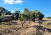 Finca rústica en venda a Amposta ref.: TR58430 foto