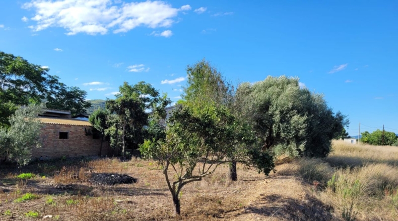 Tarragona - l'Eucaliptus - 4650m2
