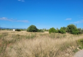 Finca rústica en venda a Amposta ref.: TR58430 foto