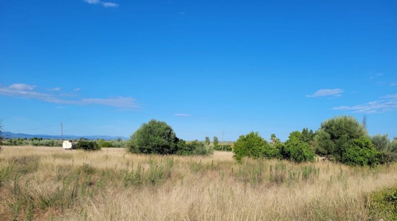 Tarragona - l'Eucaliptus - 4650m2