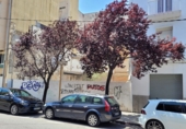 Sòl urbà en venda a la España, la Ràpita, ref.: TR81843 foto