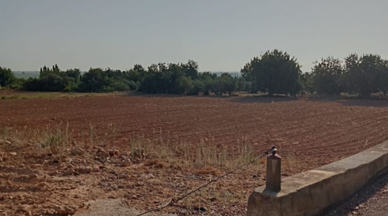 Tarragona - La Ràpita - 39500m2