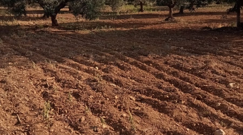 Tarragona - La Ràpita - 39500m2