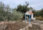 Rural estate for sale in Alcanar ref: TR180914 photo