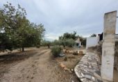 Rural estate for sale in Alcanar ref: TR180914 photo