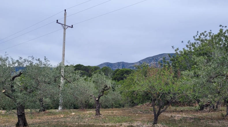 Tarragona - La Ràpita - 12600m2