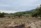 Rural estate for sale in Alcanar ref: TR180914 photo