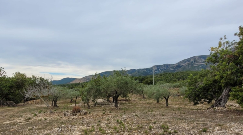 Tarragona - La Ràpita - 12600m2