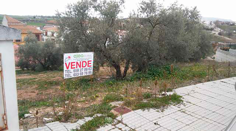 Alicante - Salinas - 900m2