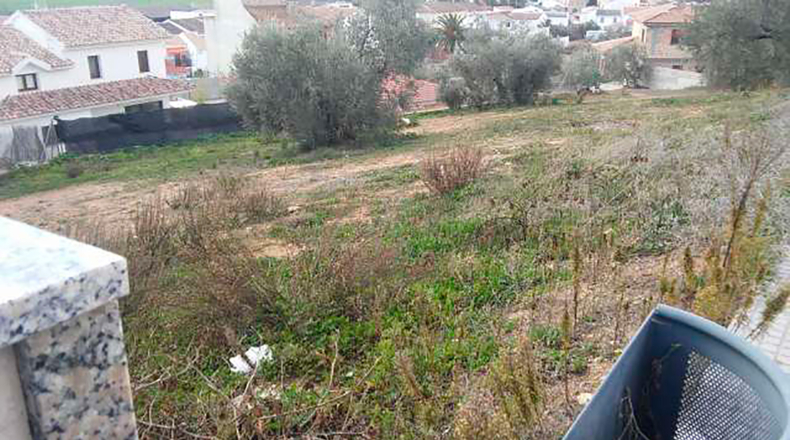 Alicante - Salinas - 900m2