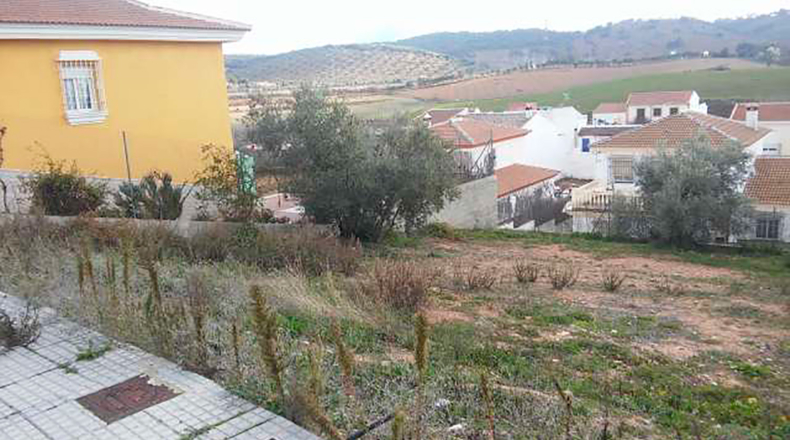 Alicante - Salinas - 900m2