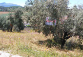 Sòl urbà en venda a Archidona ref.: TR33030 foto