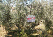 Sòl urbà en venda a Archidona ref.: TR33030 foto
