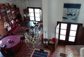 Foto 20
