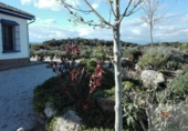 Xalet independent amb terreny en venda a Archidona ref.: TR22479 foto