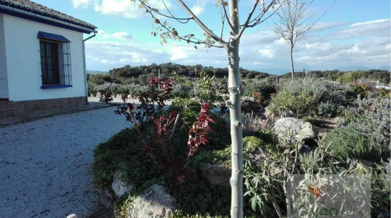 Málaga - Archidona - 29500m2