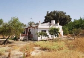 Finca rústica en venda a Archidona ref.: TR89265 foto