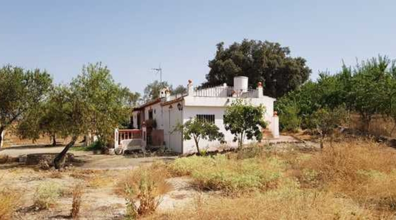 Málaga - Archidona - 100m2