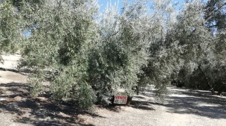 Malaga - Archidona - 120m2