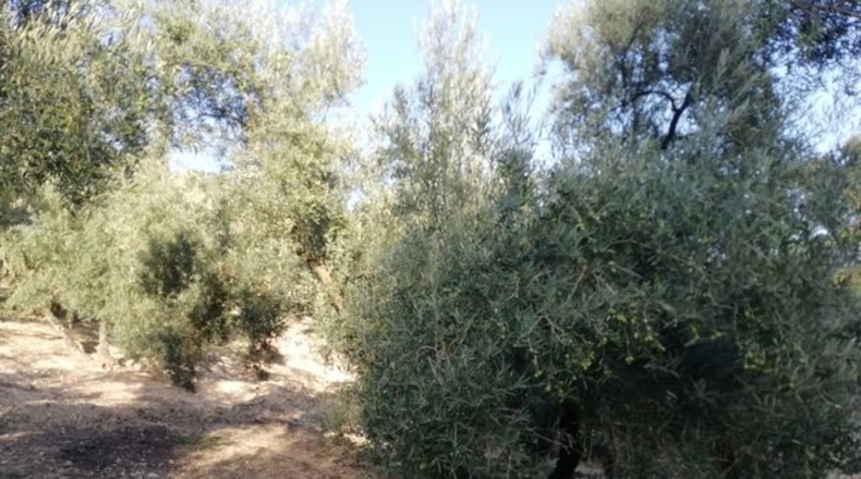 Malaga - Archidona - 120m2