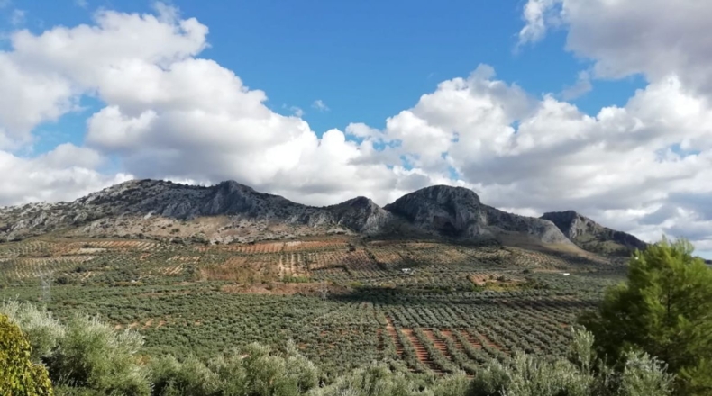 Málaga - Archidona - 3m2