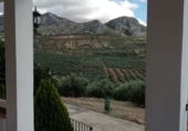 Finca rústica en venda a Archidona ref.: TR187308 foto