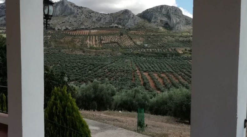 Málaga - Archidona - 3m2