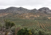 Finca rústica en venda a Archidona ref.: TR187308 foto