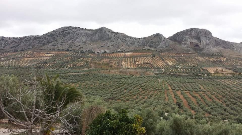 Málaga - Archidona - 3m2
