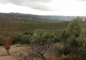 Finca rústica en venda a Archidona ref.: TR187308 foto