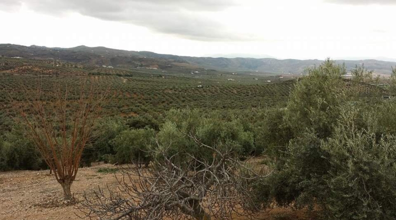 Málaga - Archidona - 3m2