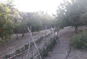 Archidona 1200&nbsp;m² 