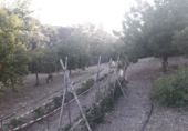 Finca rústica en venda a Archidona ref.: TR187306 foto